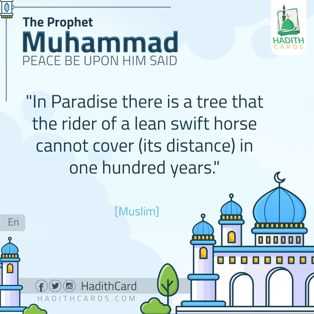In Paradise there is a tree