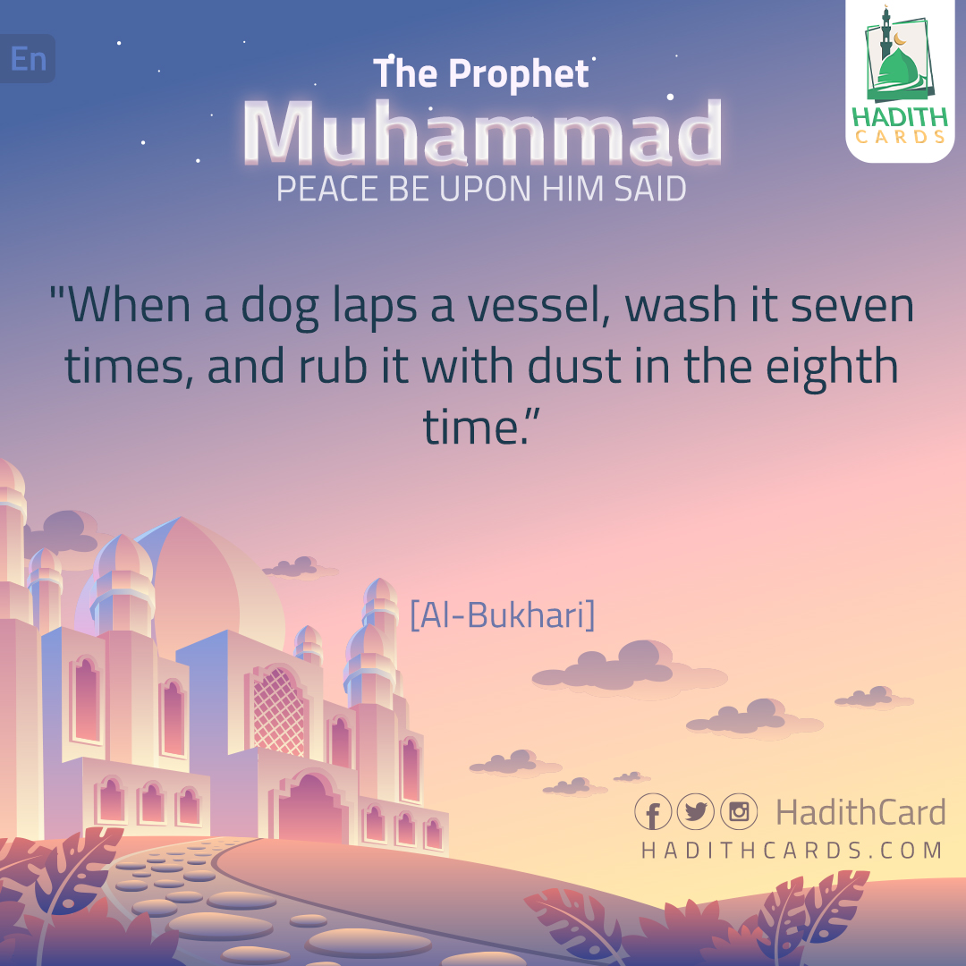 When a dog laps a vessel