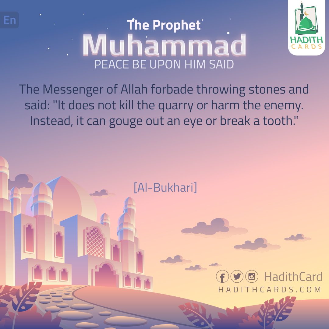The Messenger of Allah forbade throwing stones