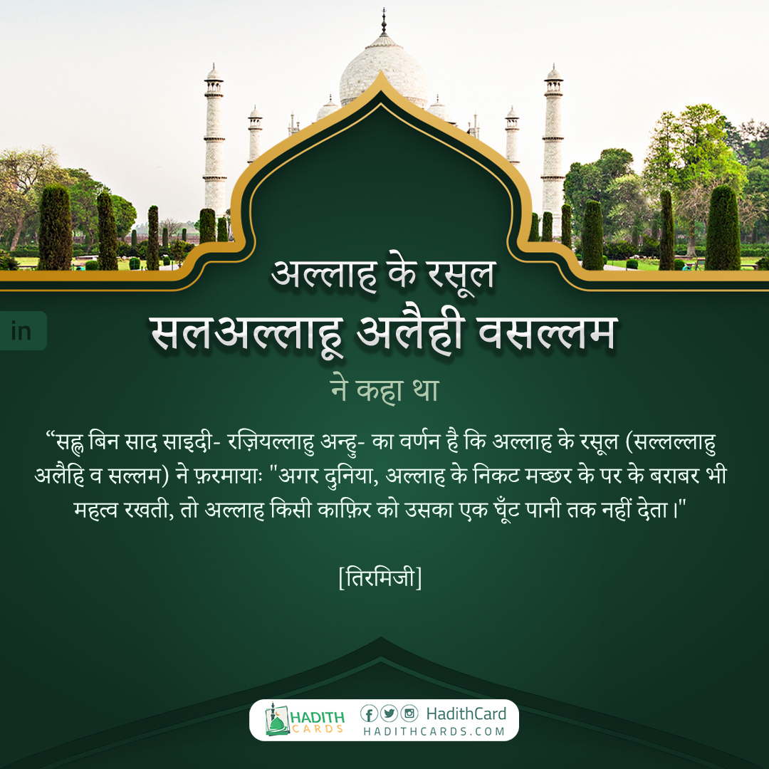 अगर दुनिया, अल्लाह के निकट मच्छर के पर के बराबर भी महत्व रखती, तो अल्लाह किसी काफ़िर को उसका एक घूँट पानी तक नहीं देता।