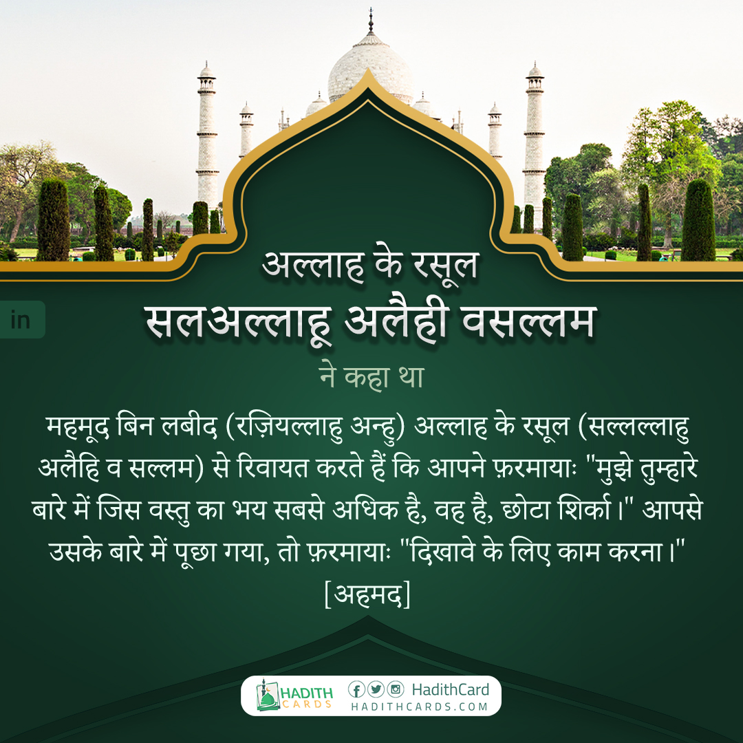 मुझे तुम्हारे बारे में जिस वस्तु का भय सबसे अधिक है, वह है, छोटा शिर्का।