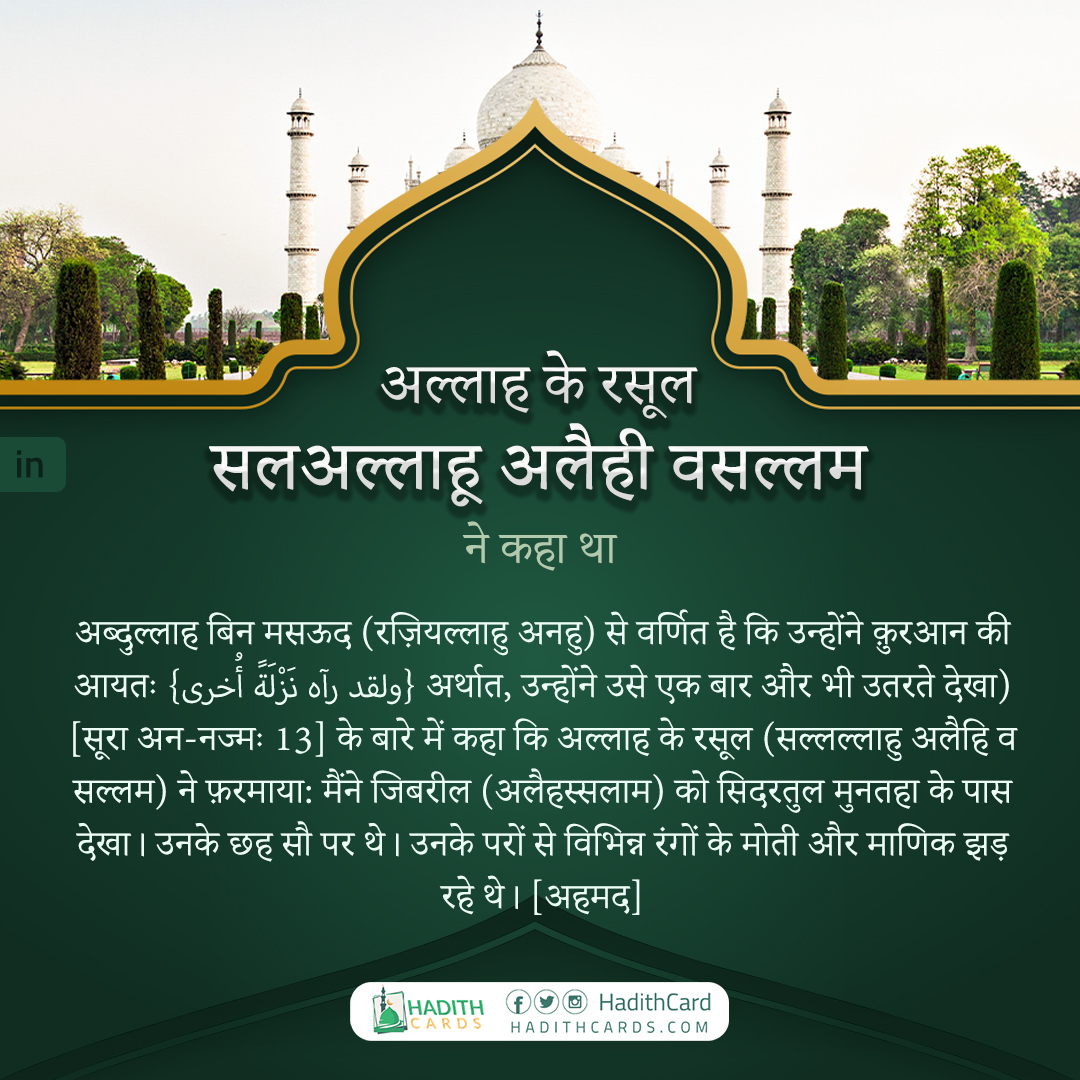 मैंने जिबरील (अलैहस्सलाम) को सिदरतुल मुनतहा के पास देखा