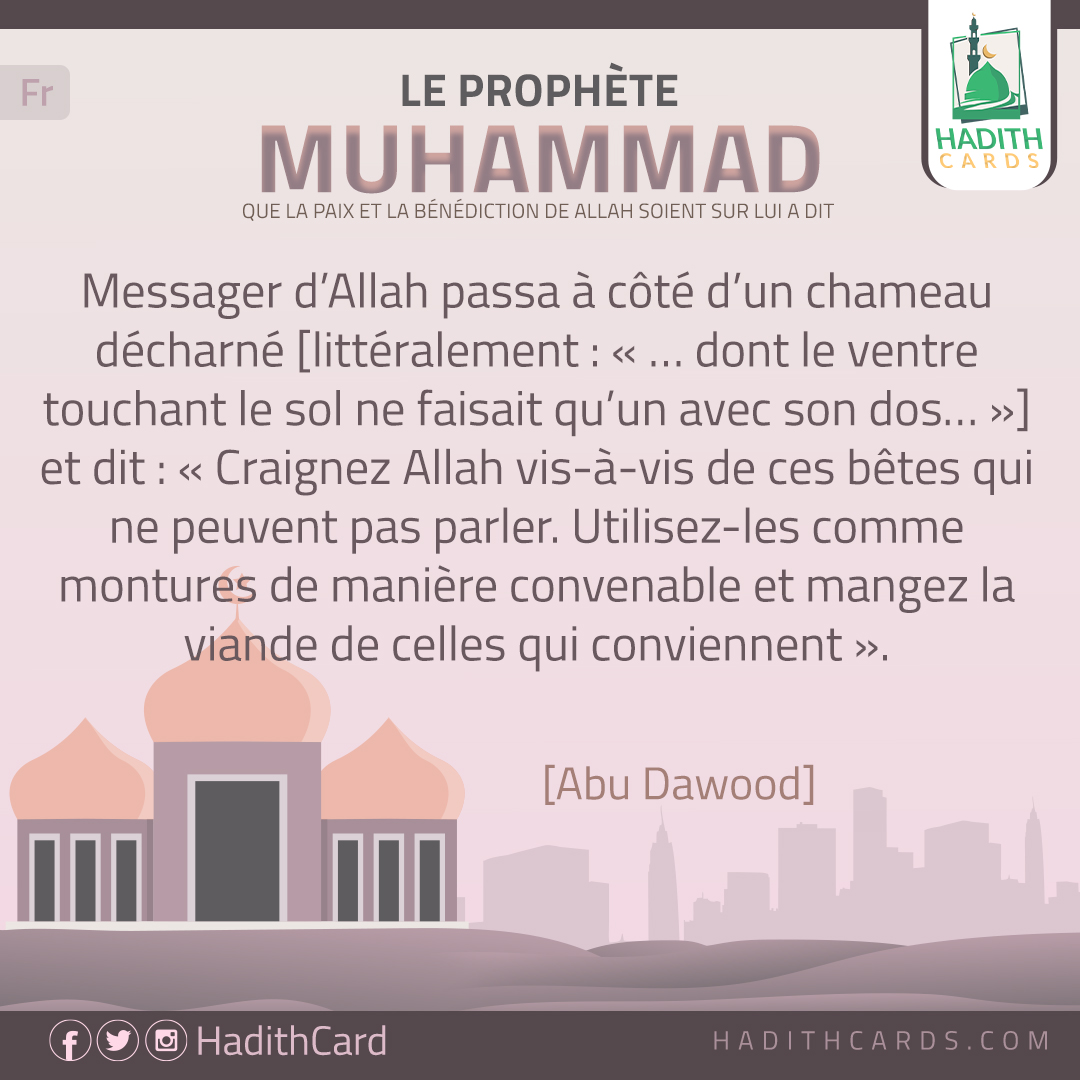 dont le ventre touchant le sol ne faisait qu’un avec son dos