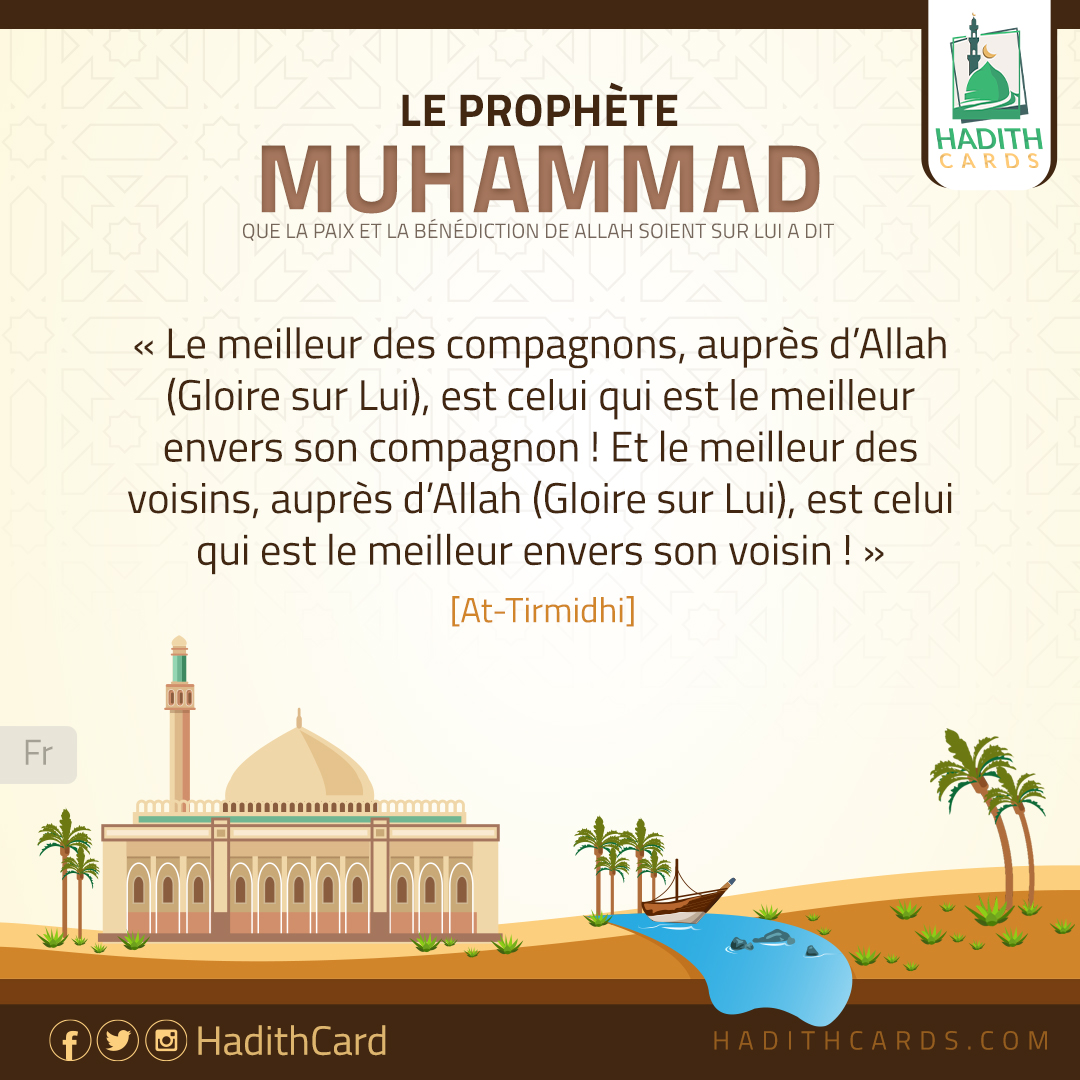 N'insultez pas mes Compagnons !