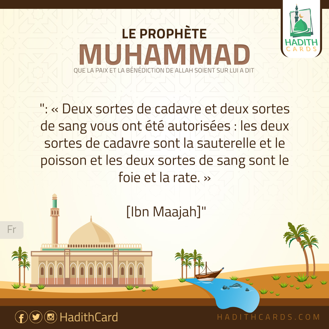 de sang sont le foie et la rate