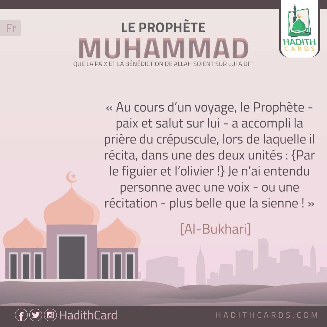 Par le figuier et l’olivier !