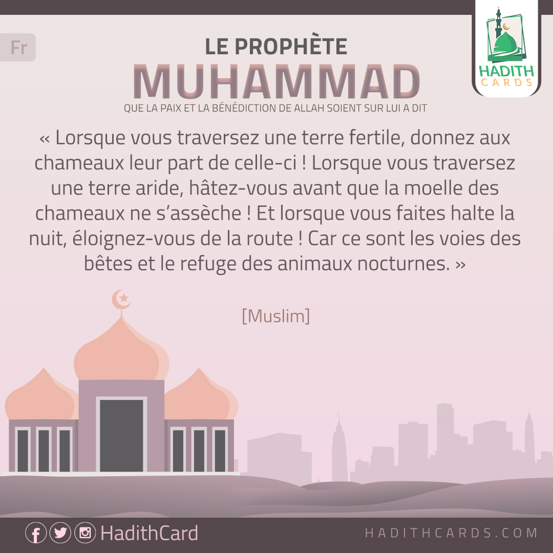 Lorsque vous traversez une terre fertile