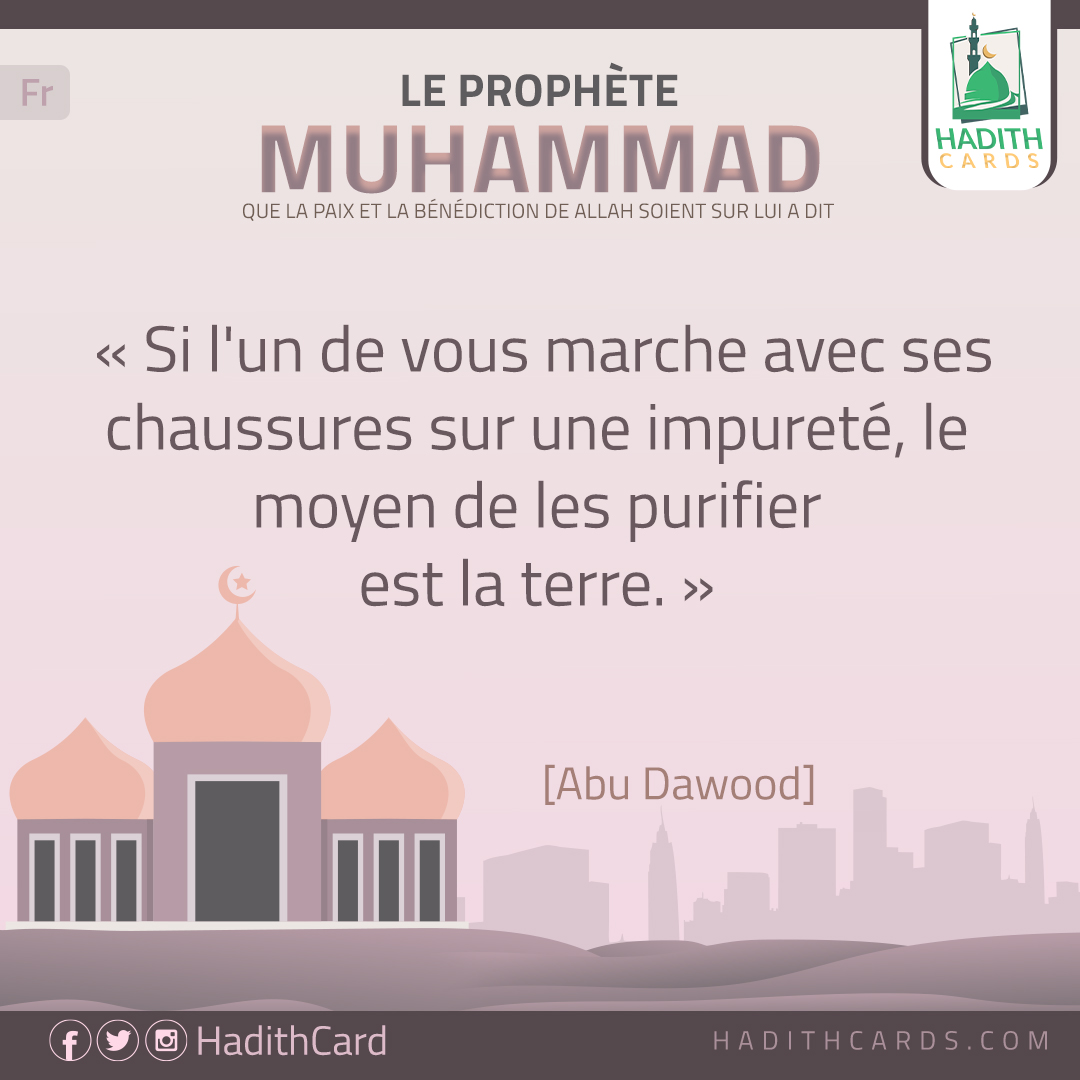 le moyen de les purifier est la terre