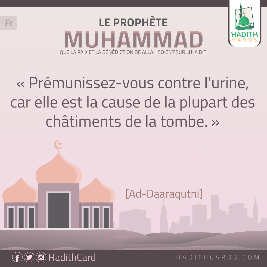 Prémunissez-vous contre l'urine