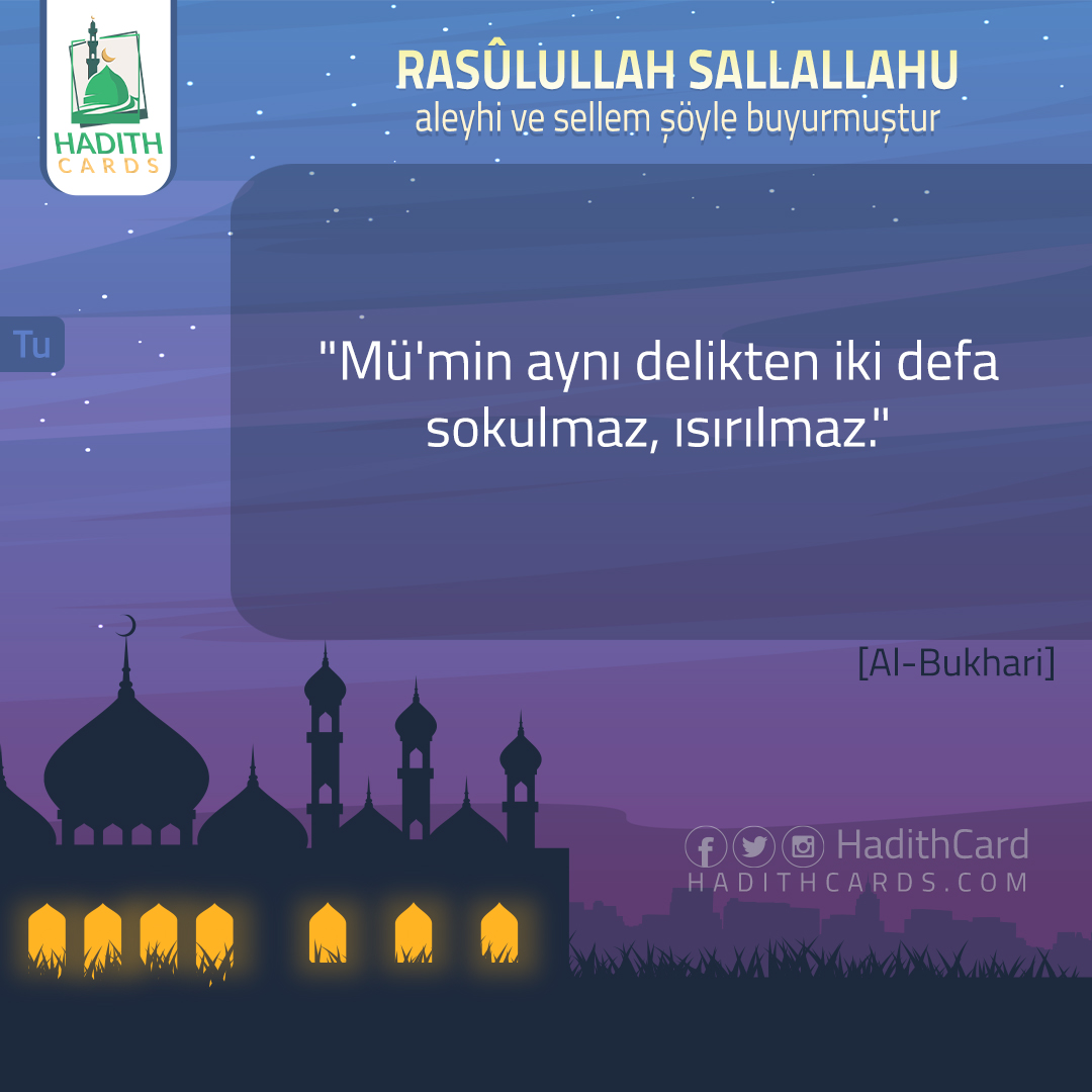 Mü'min aynı delikten iki defa sokulmaz, ısırılmaz