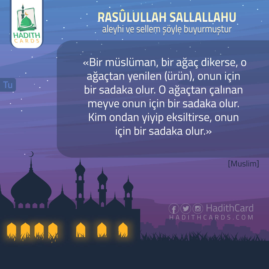 Bir müslüman, bir ağaç dikerse