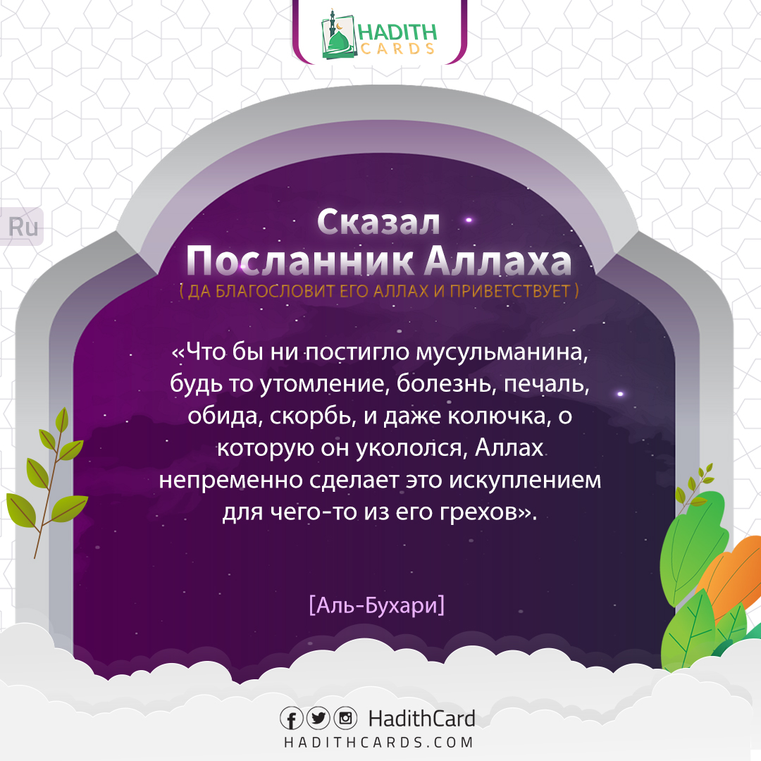 и даже колючка, о которую он укололся