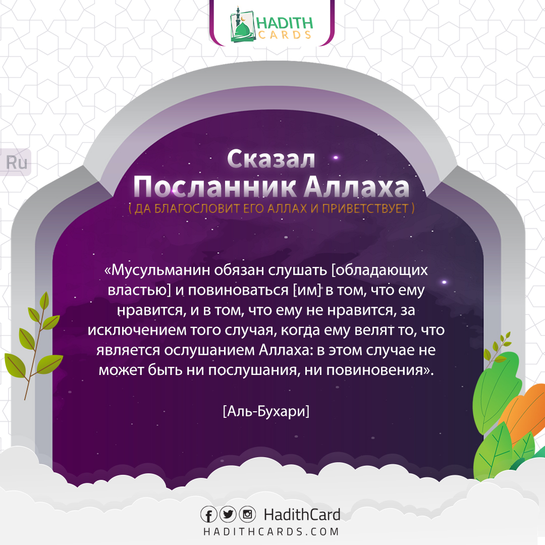 и в том, что ему не нравится, за исключением того случая