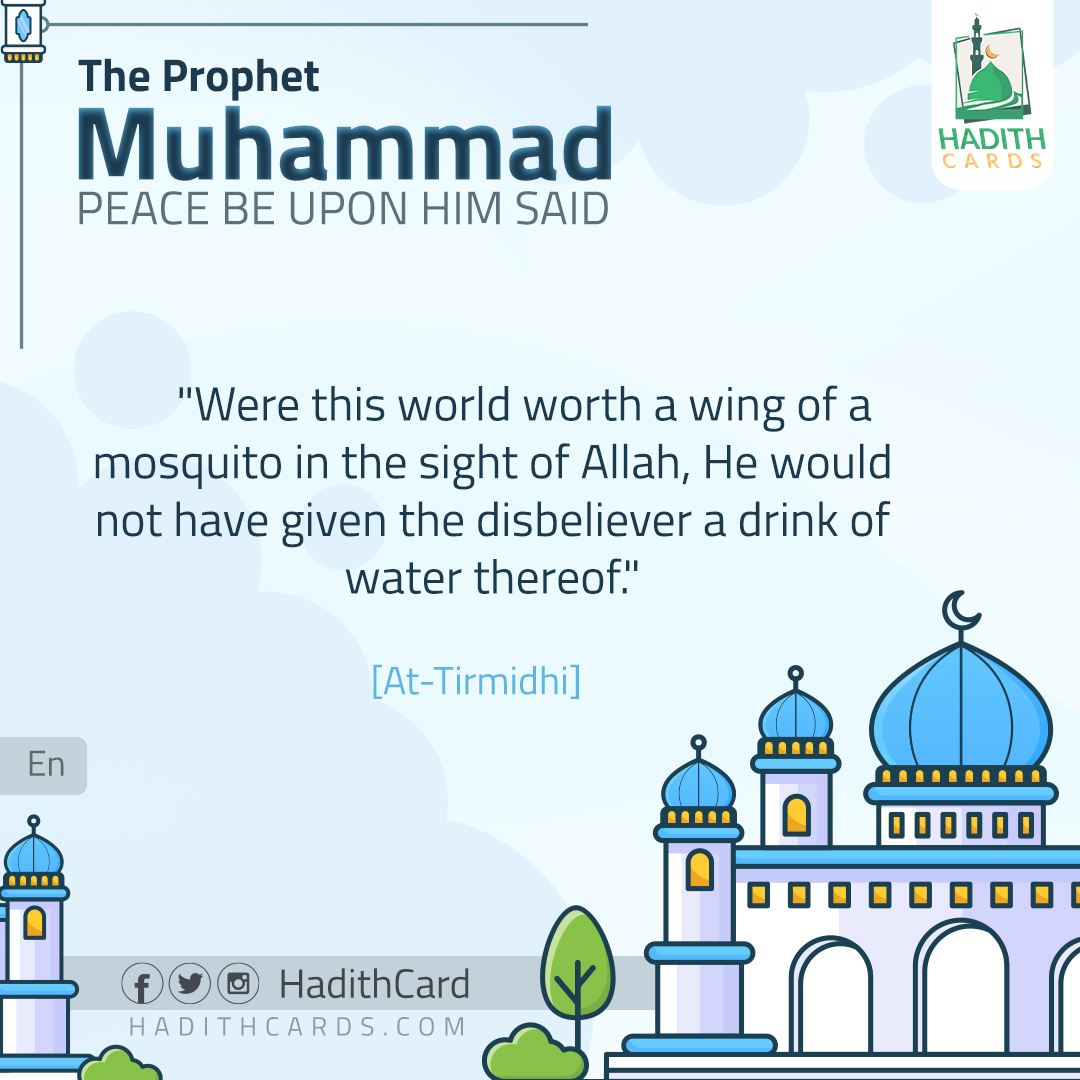 Were this world worth a wing of a mosquito