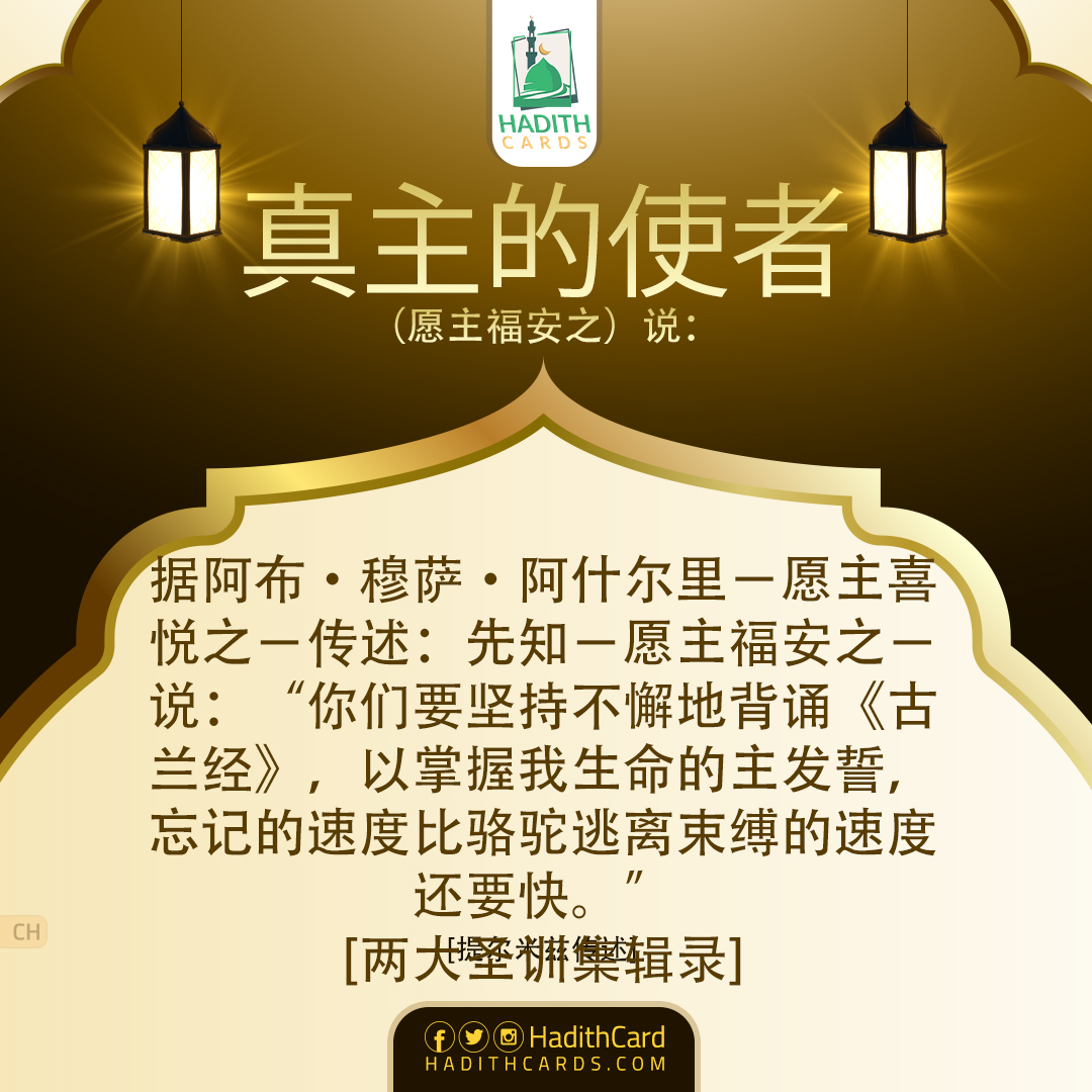 你们要坚持不懈地背诵