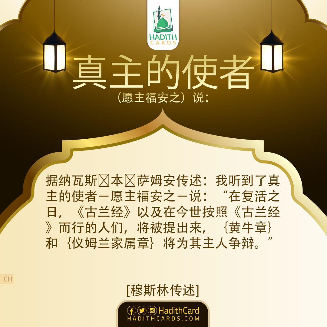 古兰经》以及在今世按照《古兰经》而行的人们