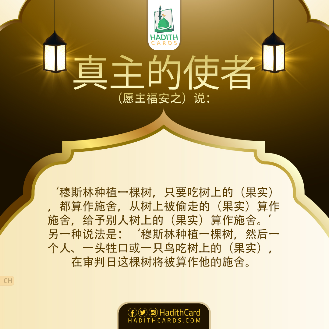 穆斯林种植一棵树，只要吃树上的（果实）