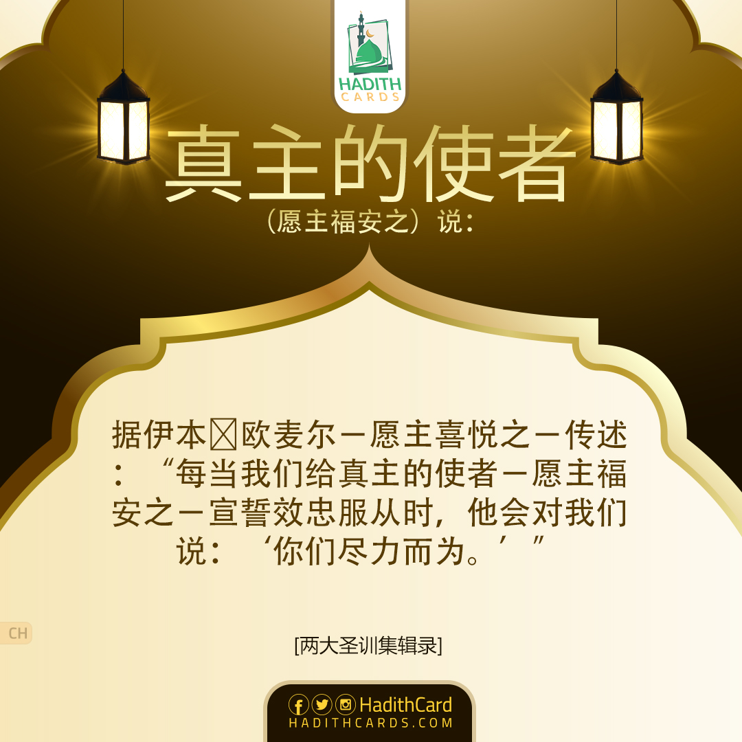 每当我们给真主的使者－愿主福安之－宣誓效忠服从时