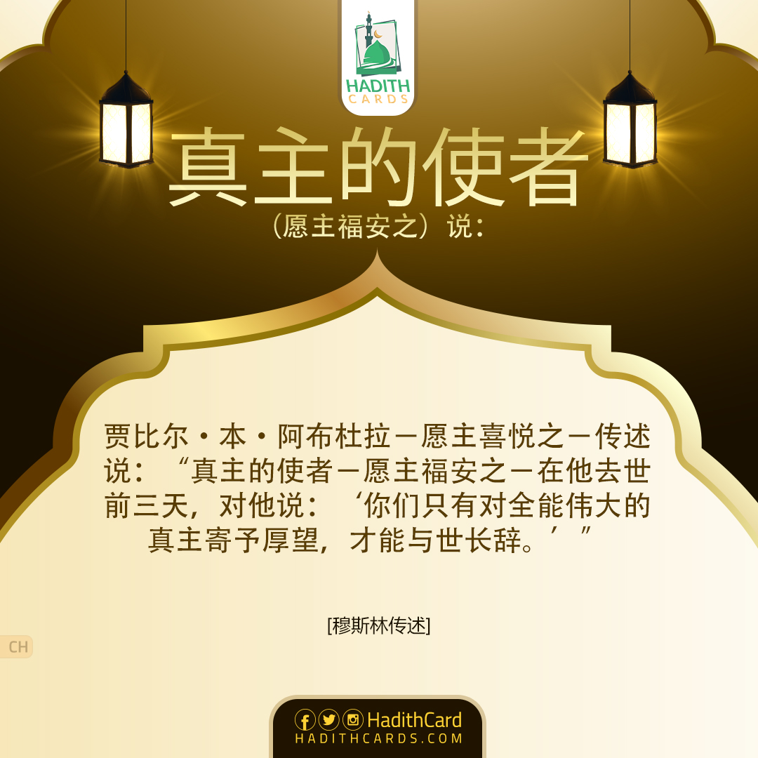 ‘你们只有对全能伟大的真主寄予厚望，才能与世长辞