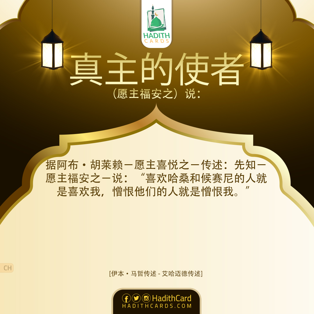 喜欢哈桑和候赛尼的人就是喜欢我，憎恨他们的人就是憎恨我