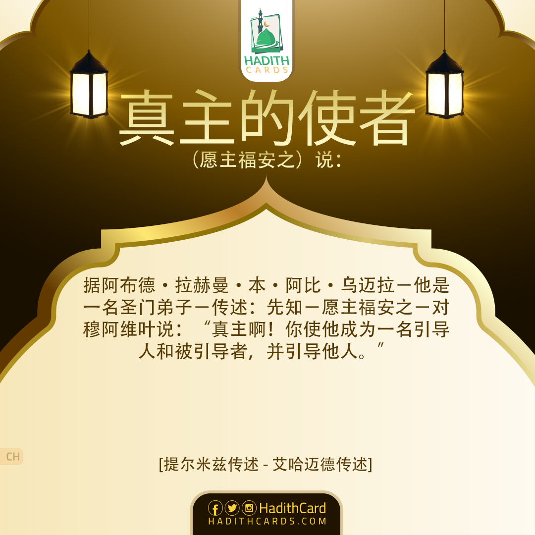 真主啊！你使他成为一名引导人和被引导者