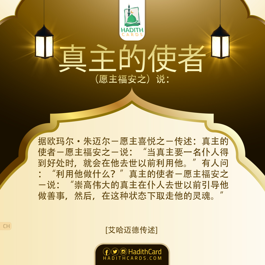 利用他做什么？