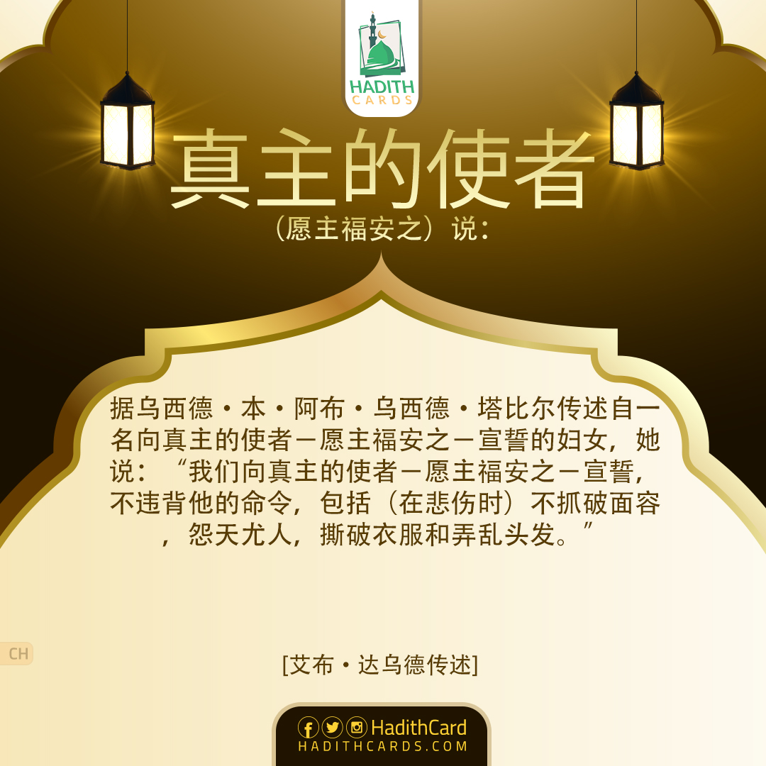 我们向真主的使者－愿主福安之－宣誓，不违背他的命令