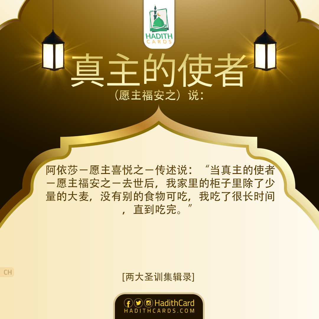 当真主的使者－愿主福安之－去世后