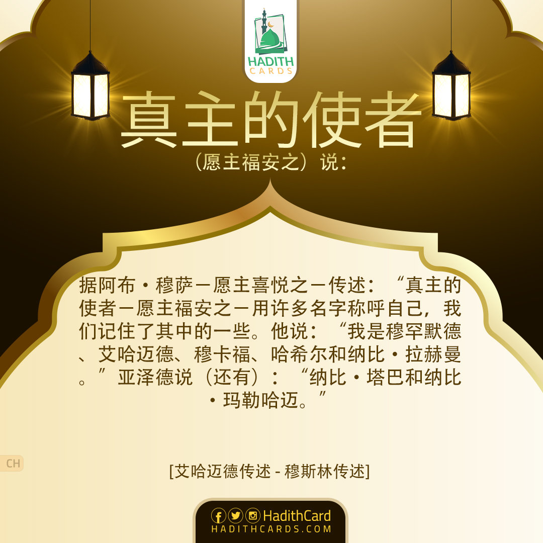 纳比·塔巴和纳比·玛勒哈迈