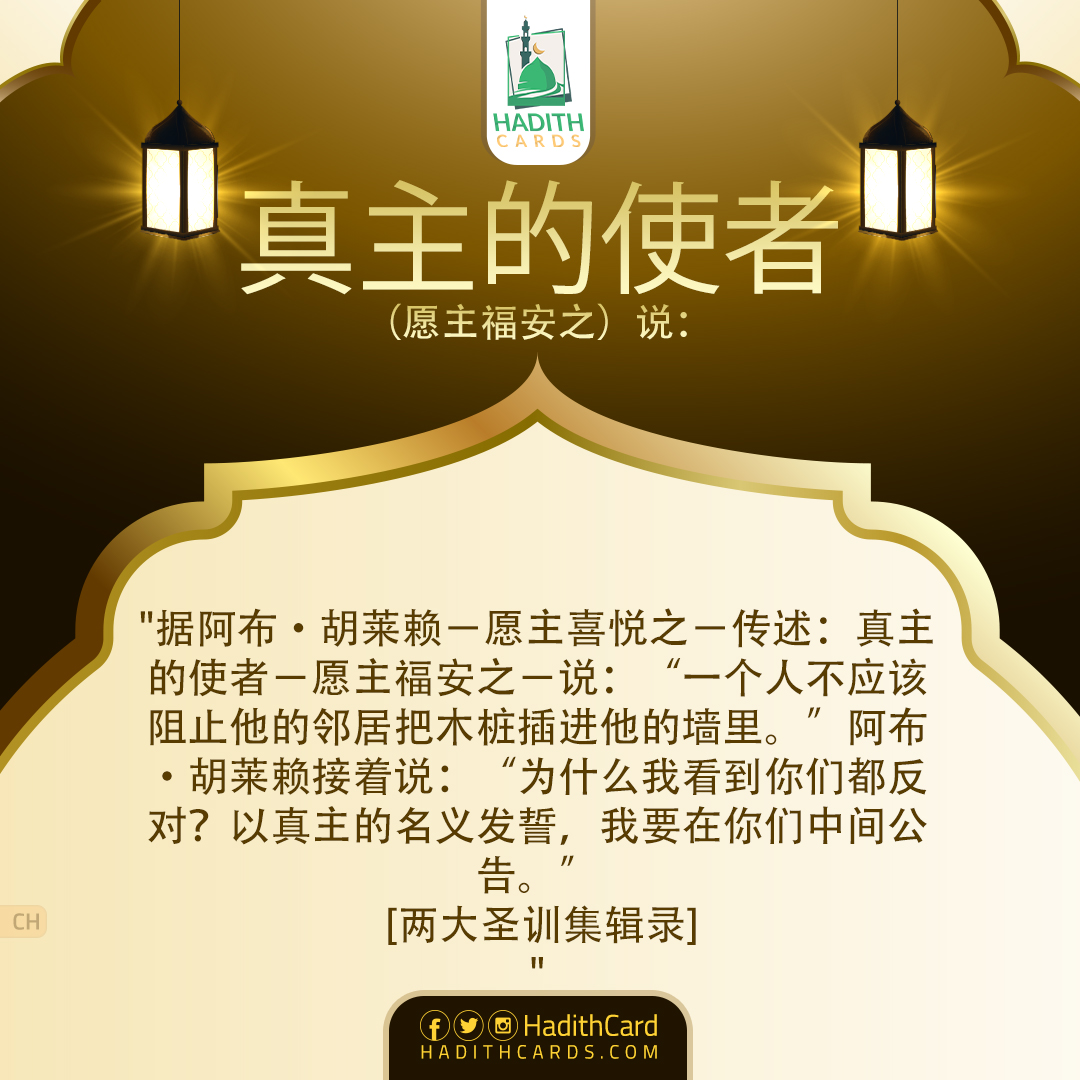 为什么我看到你们都反对？以真主的名义发誓公告