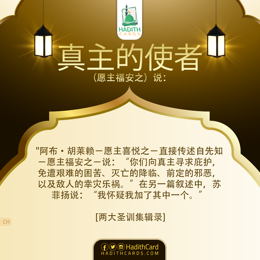 你们向真主寻求庇护