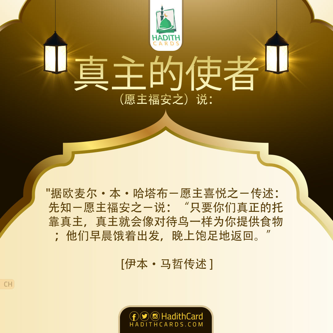 只要你们真正的托靠真主