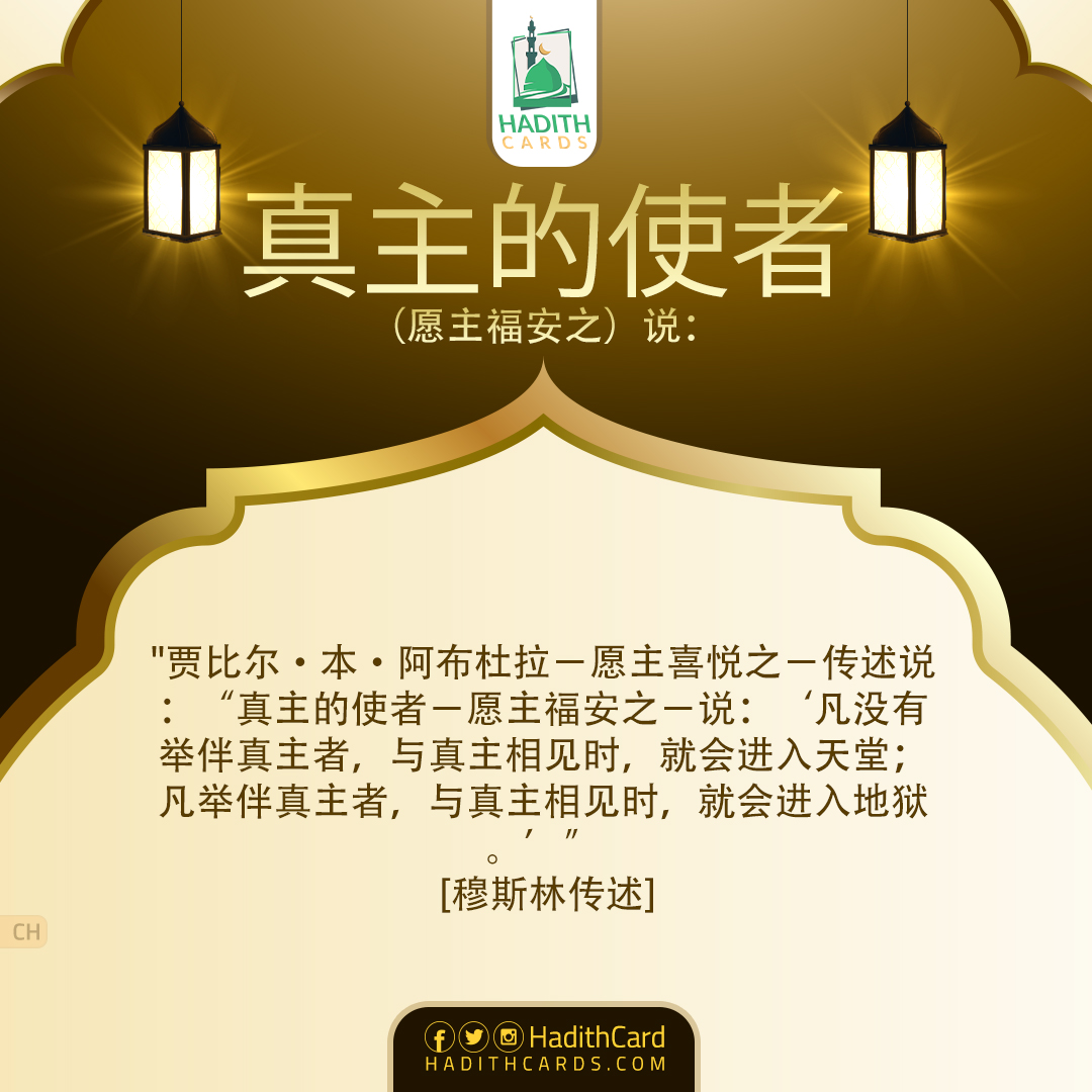 凡没有举伴真主者