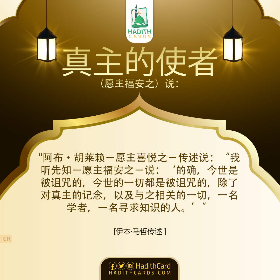 的确，今世是被诅咒的，今世的一切都是被诅咒的