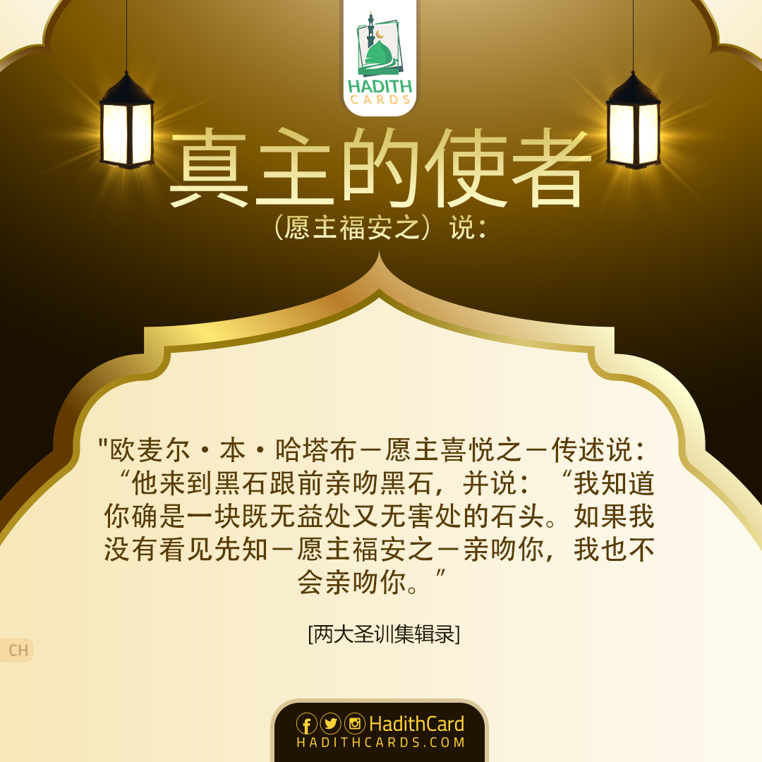 我知道你确是一块既无益处又无害处的石头。如果我没有看见先知－愿主福安之－亲吻你