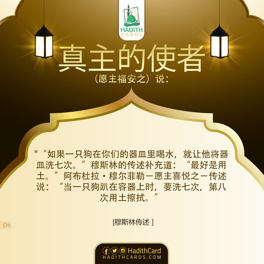 当一只狗趴在容器当一只狗趴在容器上时，要洗七次上时，要洗七次