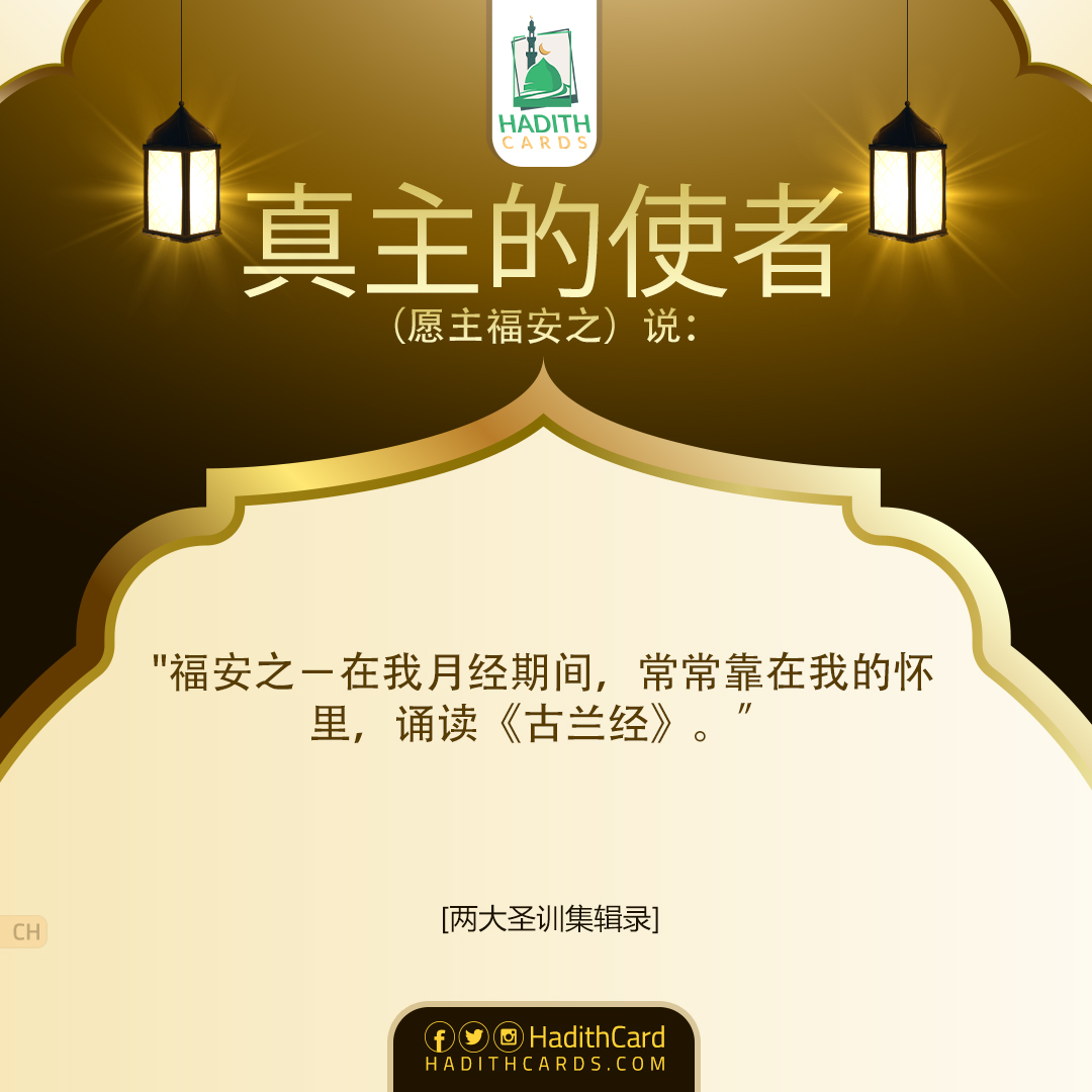 福安之－在我月经期间，常常靠在我的怀里，诵读《古兰经》。