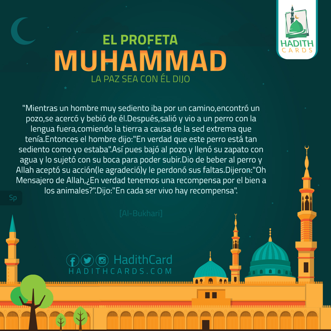 Oh Mensajero de Allah,¿En verdad tenemos una recompensa por el bien a los animales?