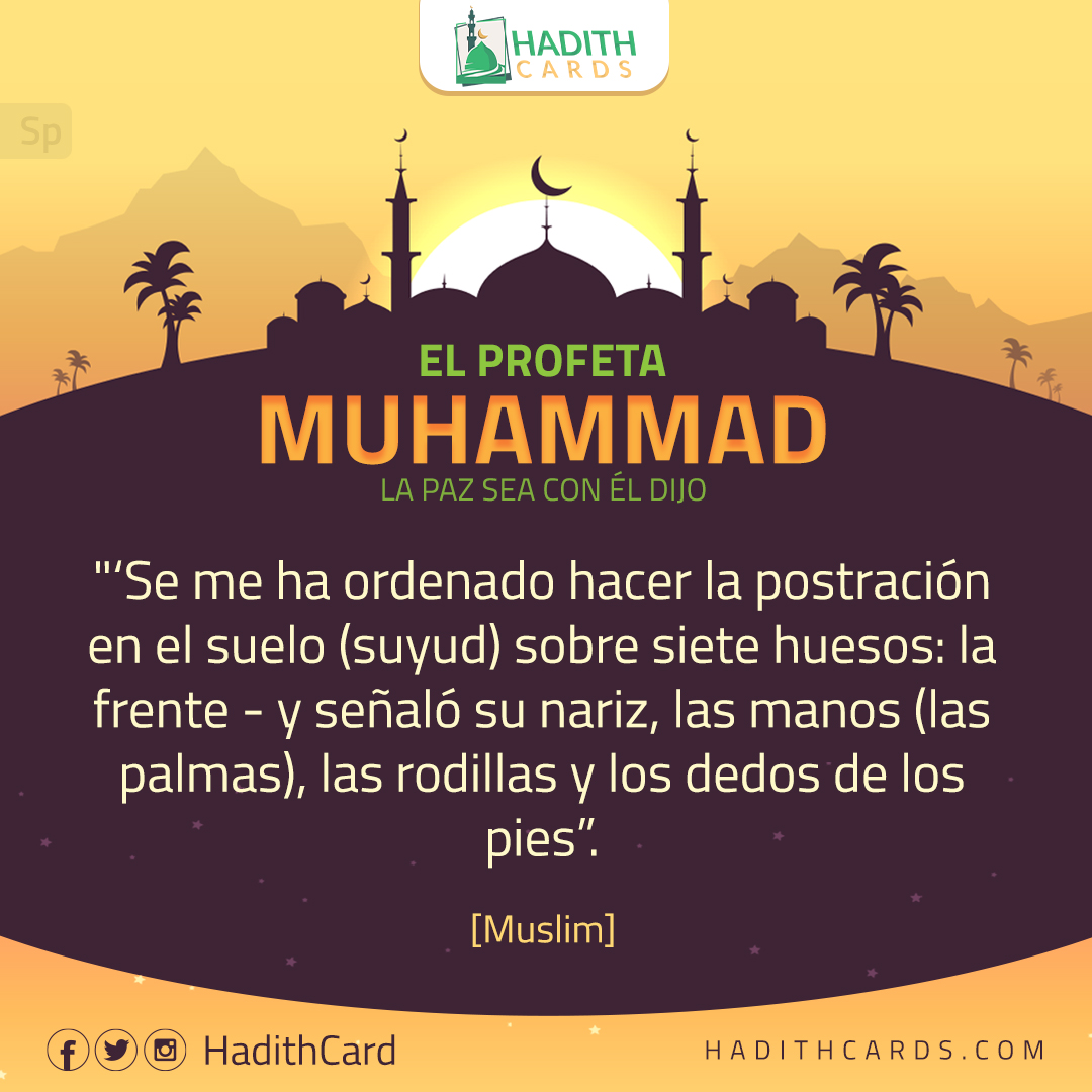 las rodillas y los dedos de los pies