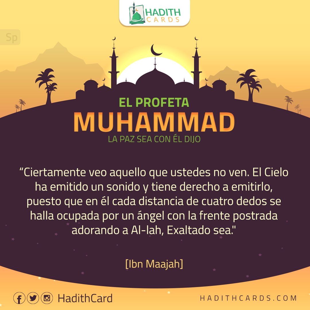 Ciertamente veo aquello que ustedes no ven