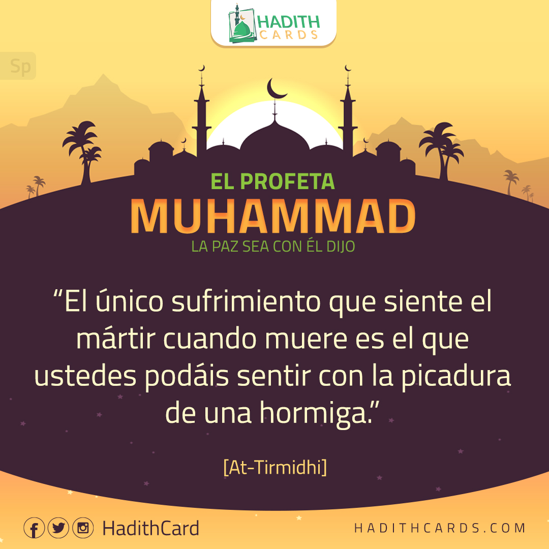 El único sufrimiento que siente el mártir cuando muere es el que ustedes podáis sentir con la picadura de una hormiga