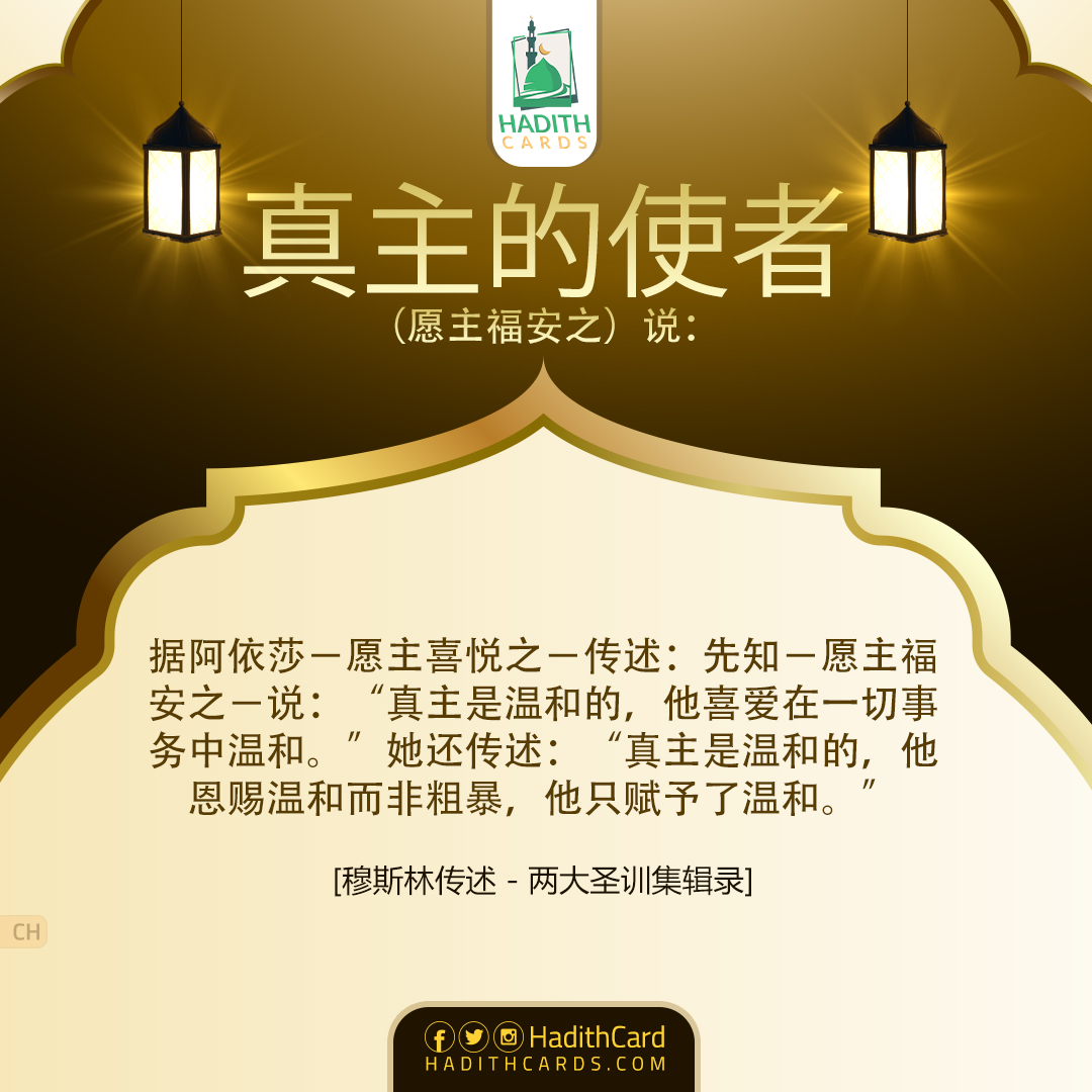 真主是温和的，他恩赐温和而非粗暴，他只赋予了温和。